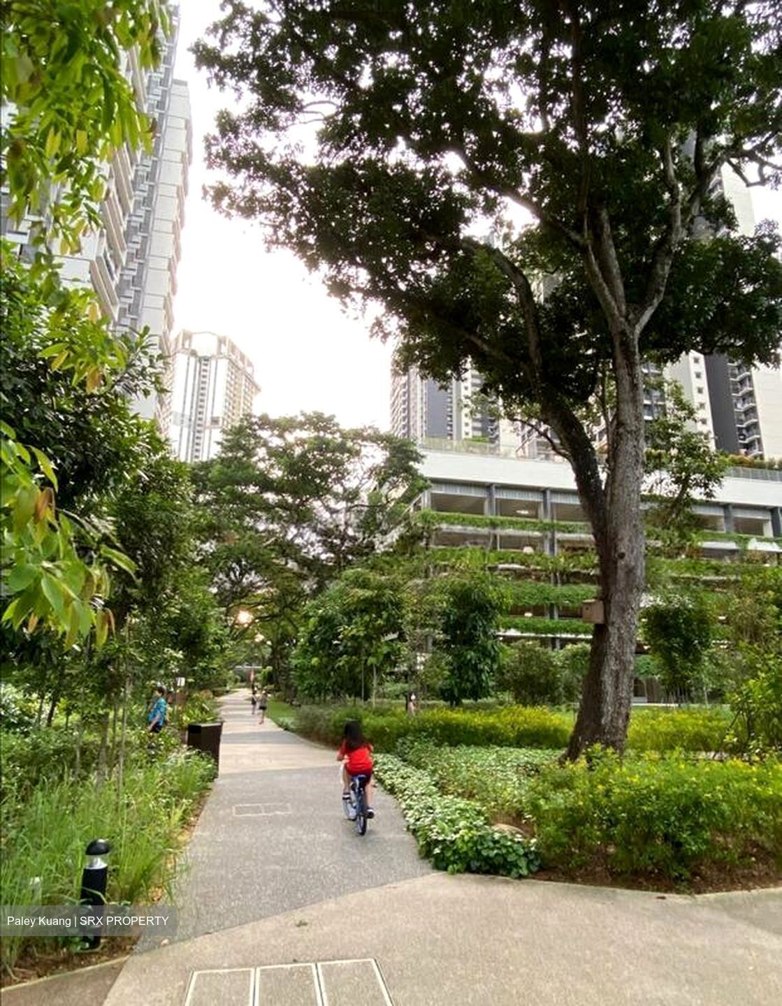 Blk 94 Skyparc @ Dawson (Queenstown), HDB 3 Rooms #519027731